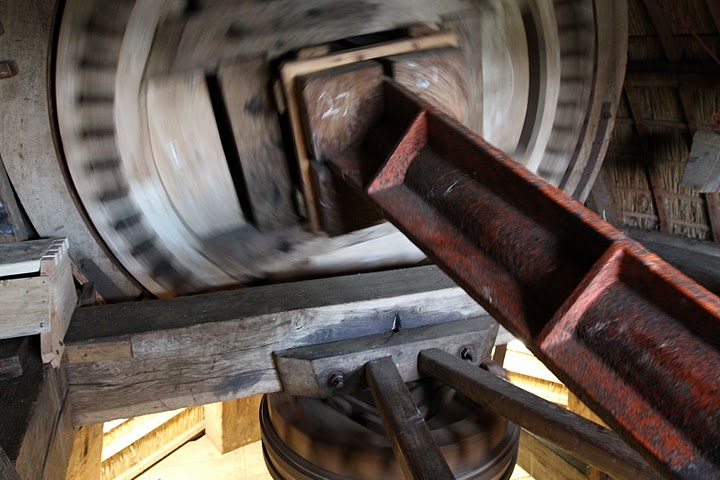 feature image